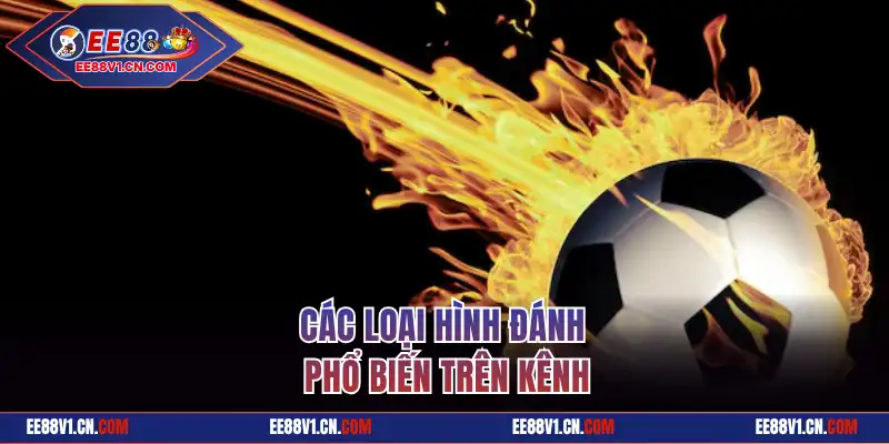 Cược Chấp XX88 Và Thông Tin Kèo Bóng Mới Nhất Cho Hội Viên 5 Các loại hình đánh phổ biến trên kênh