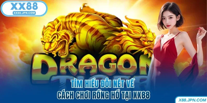 Cách Chơi Rồng Hổ Bách Chiến Bách Thắng Dành Cho Tân Binh 5 Tìm hiểu đôi nét về cách chơi Rồng Hổ tại XX88